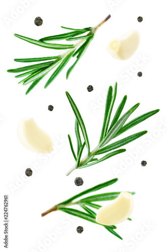 Flying rosemary with garlic and pepper isolated