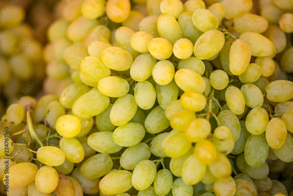 beautiful bunches of white grapes lie in a box beautiful bunches of white grapes lie in a box