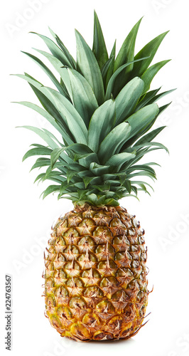 Fresh whole pineapple isolated on white background