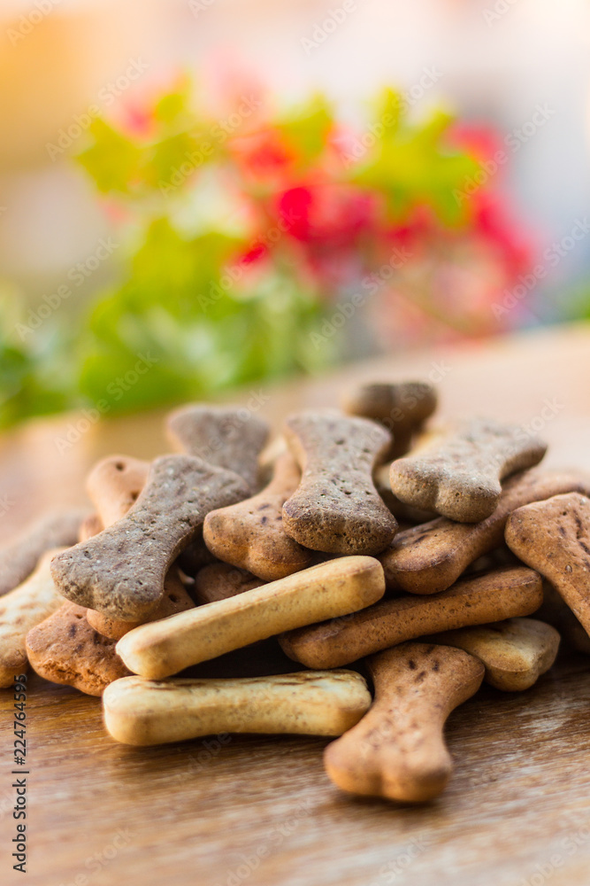 Dog tasty colored biscuits on wooden background 