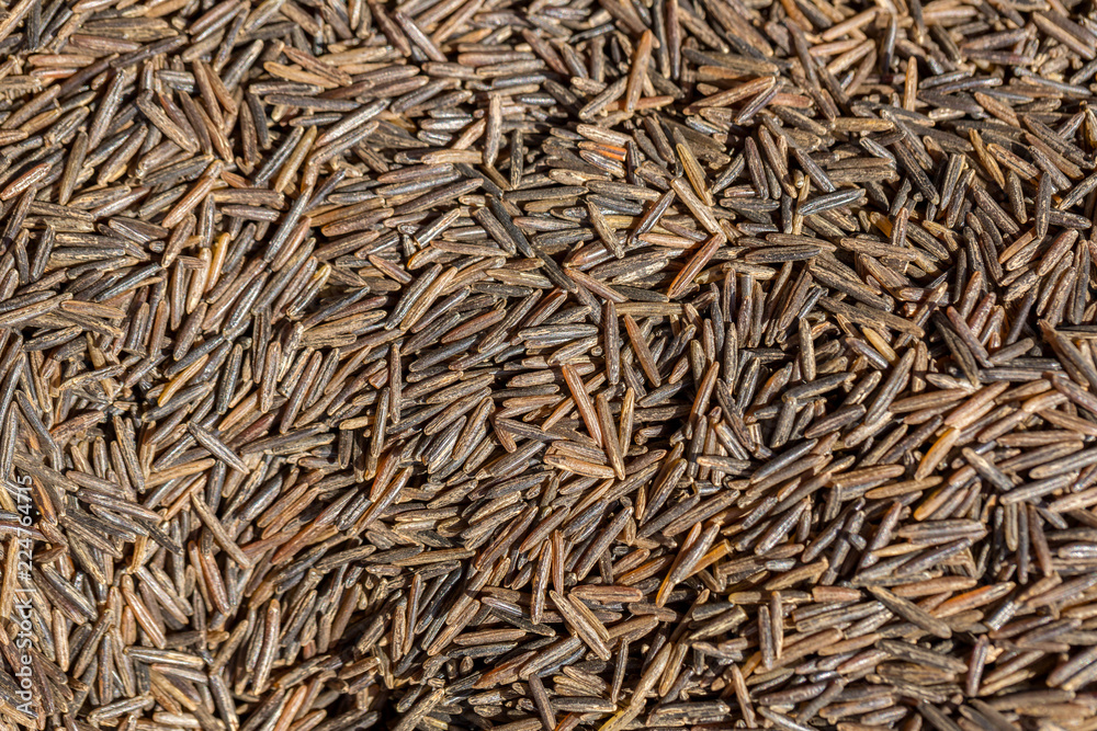 texture of wild brown rice