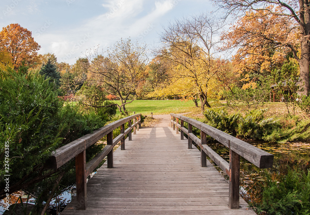 Wooden bridge in a Japanese garden