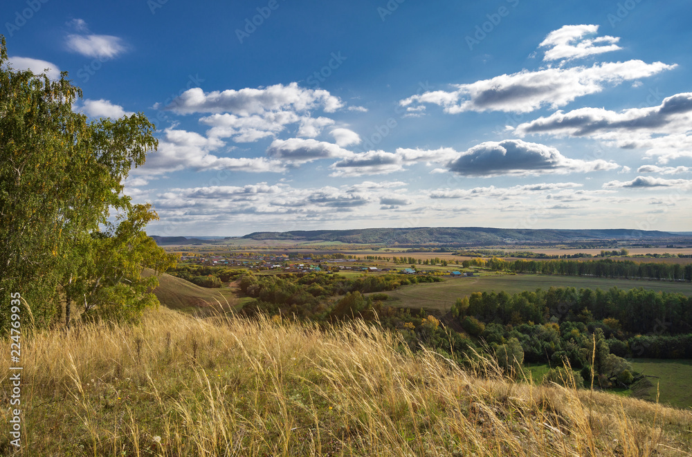 Fototapeta premium autumn forest, forest road