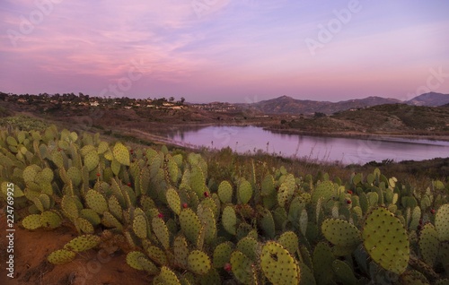 Scenic Sunset Landscape View of Lake Hodges on great hiking trail in San Dieguito River Park near Interstate 15 San Diego County North Inland photo