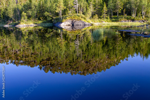Fototapeta Naklejka Na Ścianę i Meble -  Reflection of trees in lake Strauman i Velfjord Northern Norway