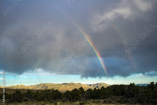 Картината върху платно Elk Horn Double Rainbow