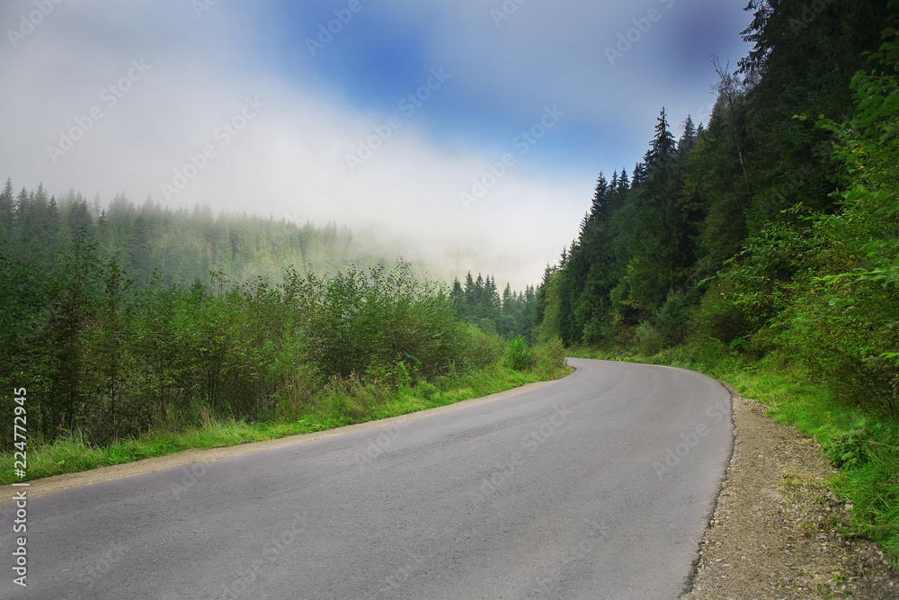 Road with fog in mountains, with dense pine forest on the rocky slopes of the mountains. Idea for outdoor activities, tourism, travel and adventure.