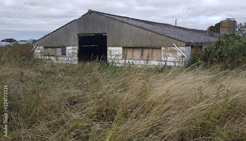 Empty cow shed in a grassy field