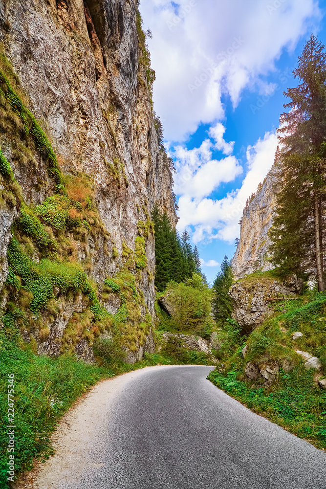Fototapeta premium Road in Rhodope Mountains