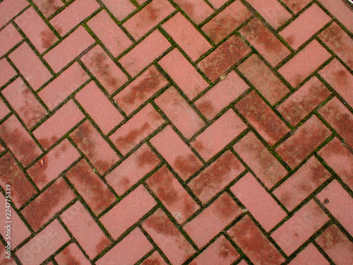 Top view of a wet pavement from tiles for use as a background