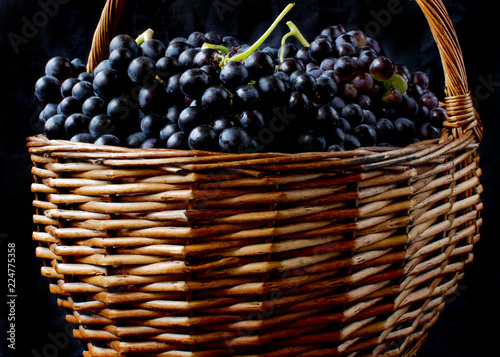 Wicker basket full of Tempranillo grapes