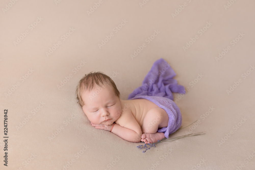 newborn baby on beige background. the baby is covered with a purple scarf. newborn photo shoot. baby. lavender flowers newborn baby on beige background. the baby is covered with a purple scarf. newborn photo shoot. baby. lavender flowers