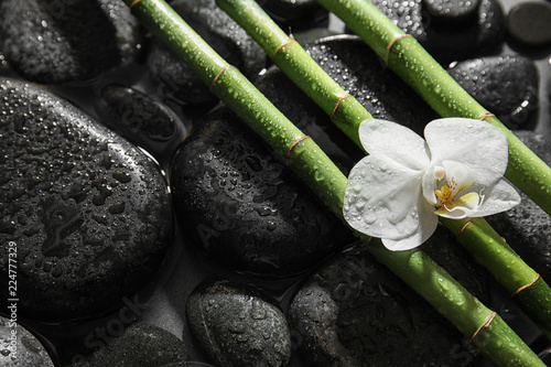 Bamboo branches, orchid and spa stones in water. Space for text