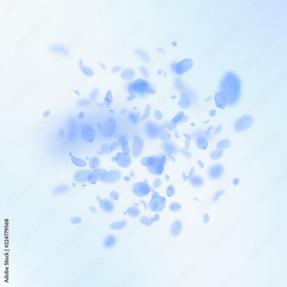 Dark blue flower petals falling down. Quaint romantic flowers explosion. Flying petal on blue sky sq Dark blue flower petals falling down. Quaint romantic flowers explosion. Flying petal on blue sky sq