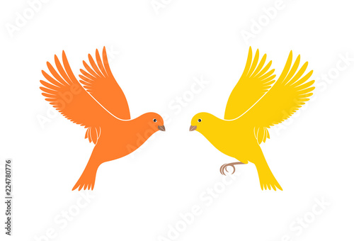 Canary logo. Isolated canary on white background. Bird © oleg7799
