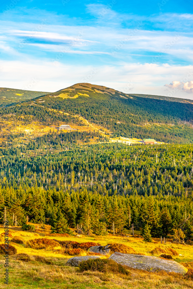 Green forest landscape with Maly Sisak Mountain and mountain huts, Giant Mountains, Krkonose, Czech Republic.