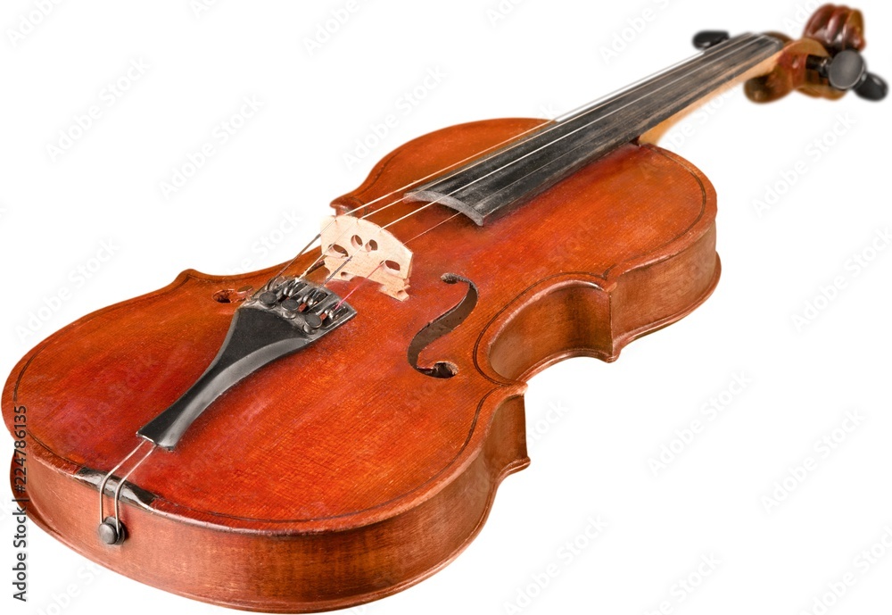 Bottom View of a Violin, Isolated Bottom View of a Violin, Isolated