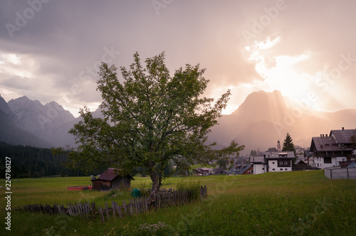 Sappada, Italia: tramonto su un campo d'erba con un albero all'interno di una recinzione in legno e sullo sfondo raggi di luce attraverso le nuvole