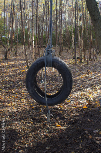 A tyre swing in the woods 