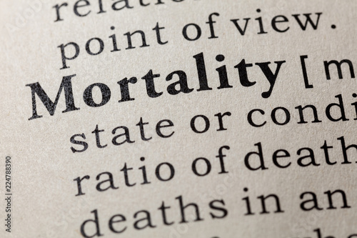 definition of mortality photo