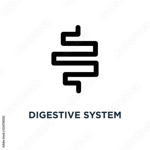 Digestive system icon. Simple element illustration. Digestive sy
