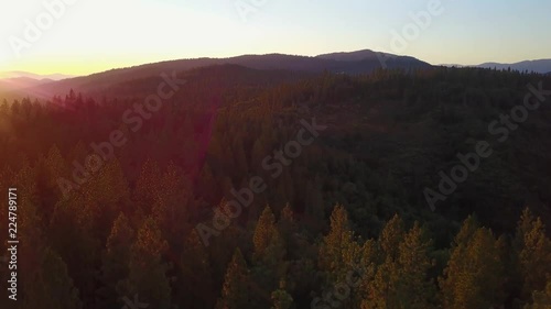 National Forest Sunset Aerial photo