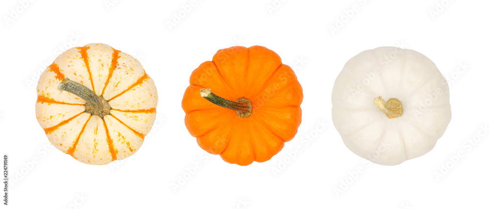 Assortment of autumn pumpkins isolated on a white background. Top view. Striped, orange and white. Assortment of autumn pumpkins isolated on a white background. Top view. Striped, orange and white.
