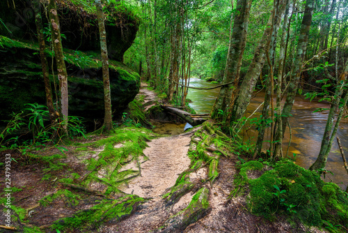 Beautiful landscape of walkway to hiking with stream.