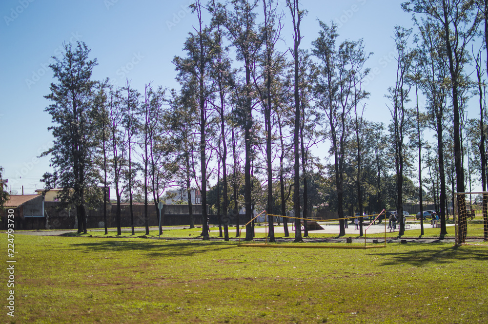 Obraz premium Natureza