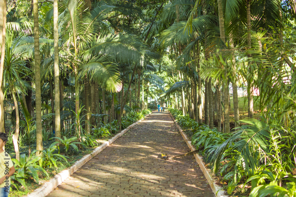 Zoológico Zoológico