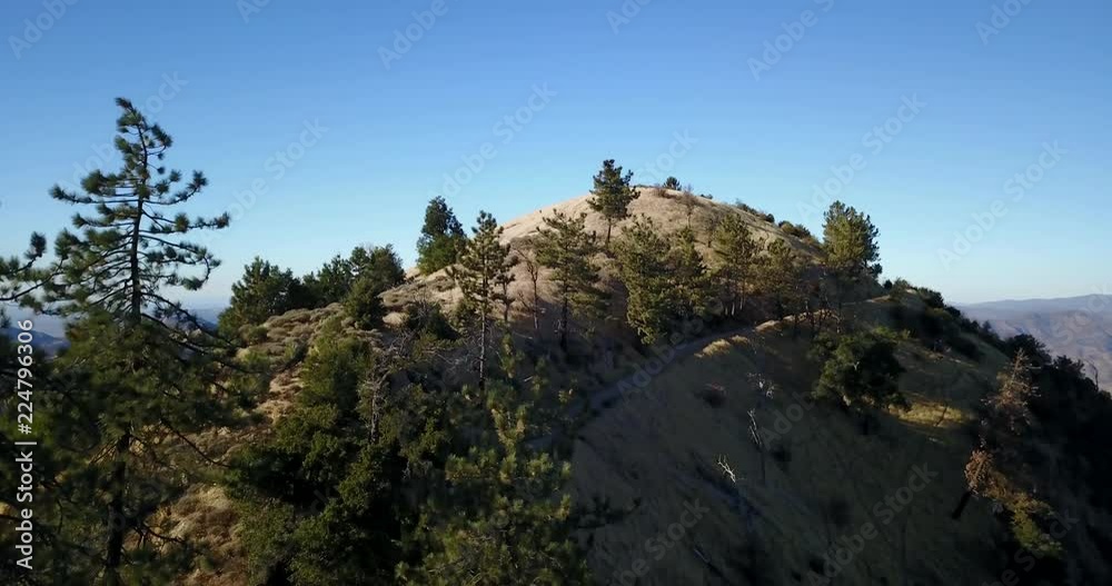 Santa Ynez Valley Pine Trees Figueroa Mountain Aerial Santa Barbara Santa Ynez Valley Pine Trees Figueroa Mountain Aerial Santa Barbara