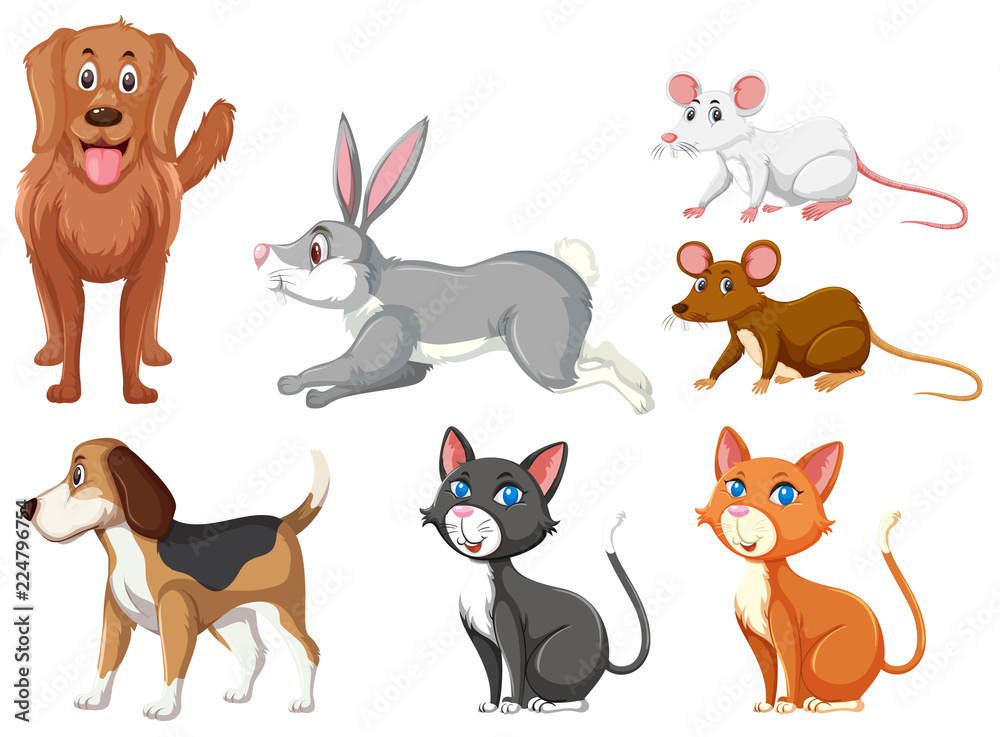 Set of domestic animals Set of domestic animals