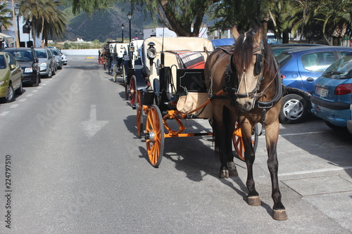 A view of Mijas town streets with its famous traditional horse carriage waiting for the tourist to visit the beautiful city of Andalusia in South of Spain

