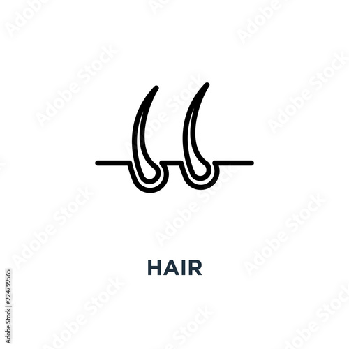 hair icon. hair concept symbol design, vector illustration