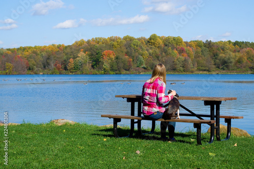 Girl Petting Her Dog on Bench Watching Geese