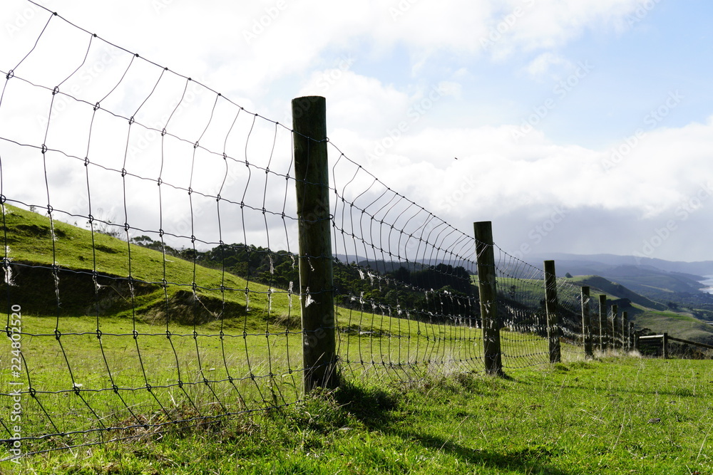 Fence on the Hills