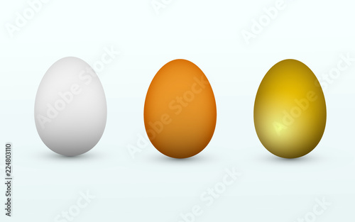 White, brown and golden healthy organic eggs on light background vector illustration