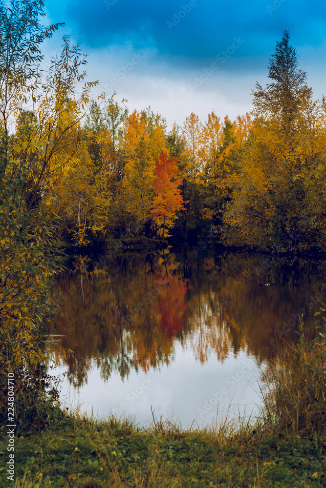 Autumn landscape near the forest lake on a cloudy day Autumn landscape near the forest lake on a cloudy day