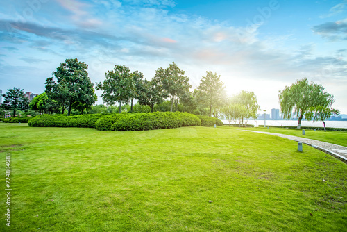 Fototapeta Naklejka Na Ścianę i Meble -  Urban park grassland forest..