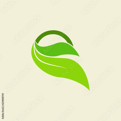E letter with leaf nature logo design