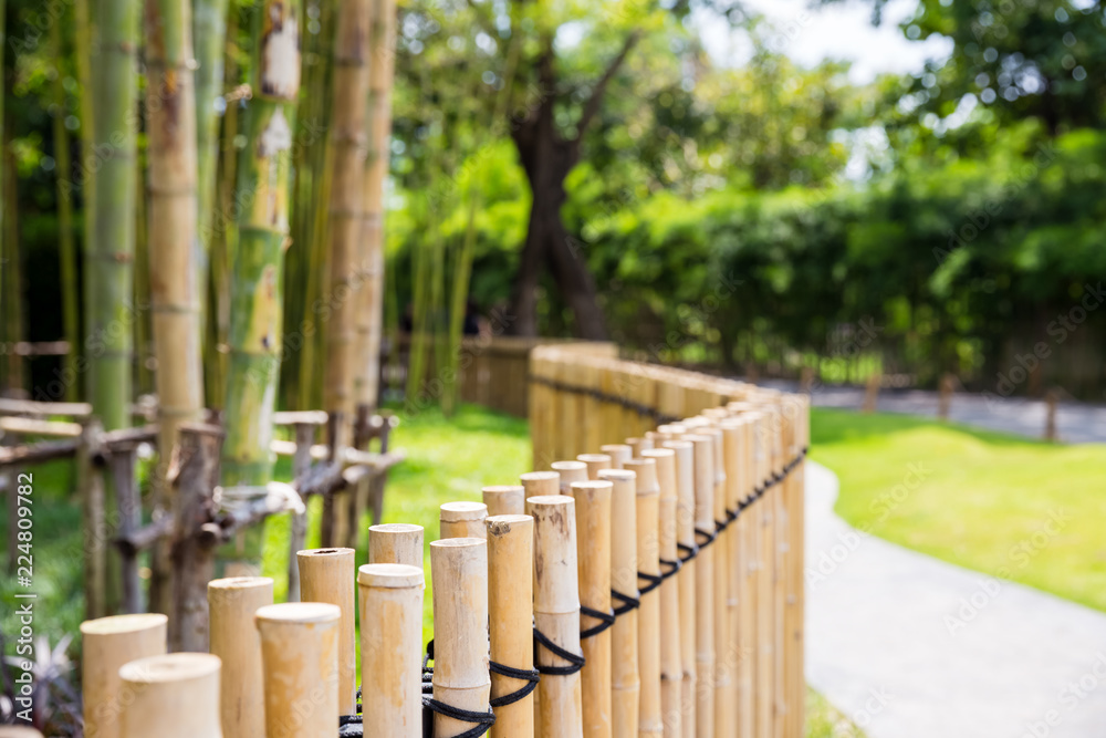 Fototapeta bambusowa ściana tekstur