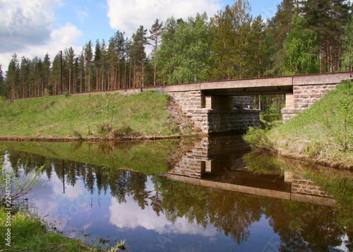 flooded forest road