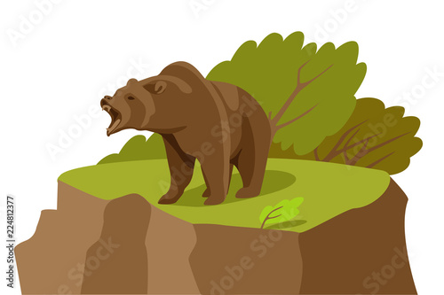 terrible angry bear growls at the edge of a cliff. Cartoon vector illustration