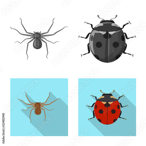 Vector illustration of insect and fly icon. Set of insect and element vector icon for stock. © Svitlana