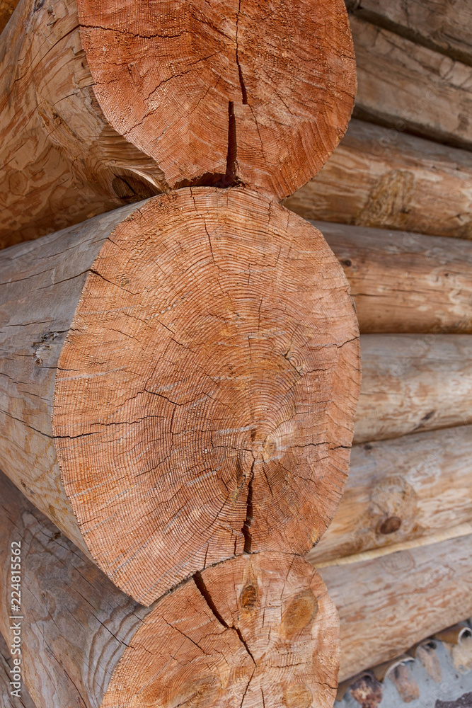 log cabin made of wood, which shows the texture of the tree log cabin made of wood, which shows the texture of the tree