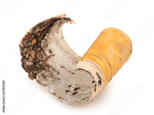 Birch bark on white background