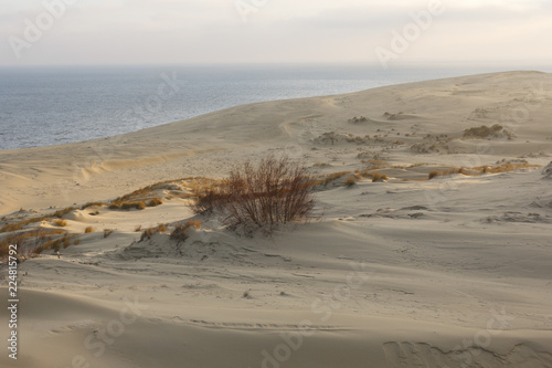 beautiful sand dunes with fine white sand on the seacoast
