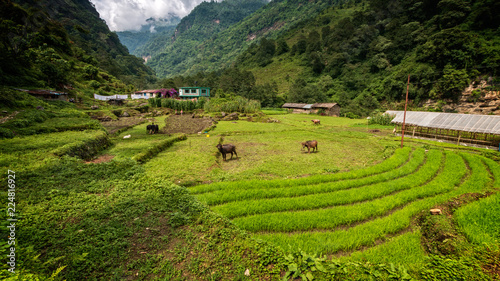 Between the mountains - Nepal