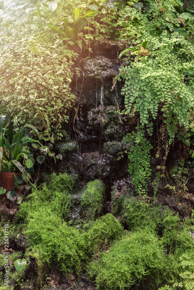 stone statue overgrown with moss, among many plants, which flow down the waterfall streams of water stone statue overgrown with moss, among many plants, which flow down the waterfall streams of water