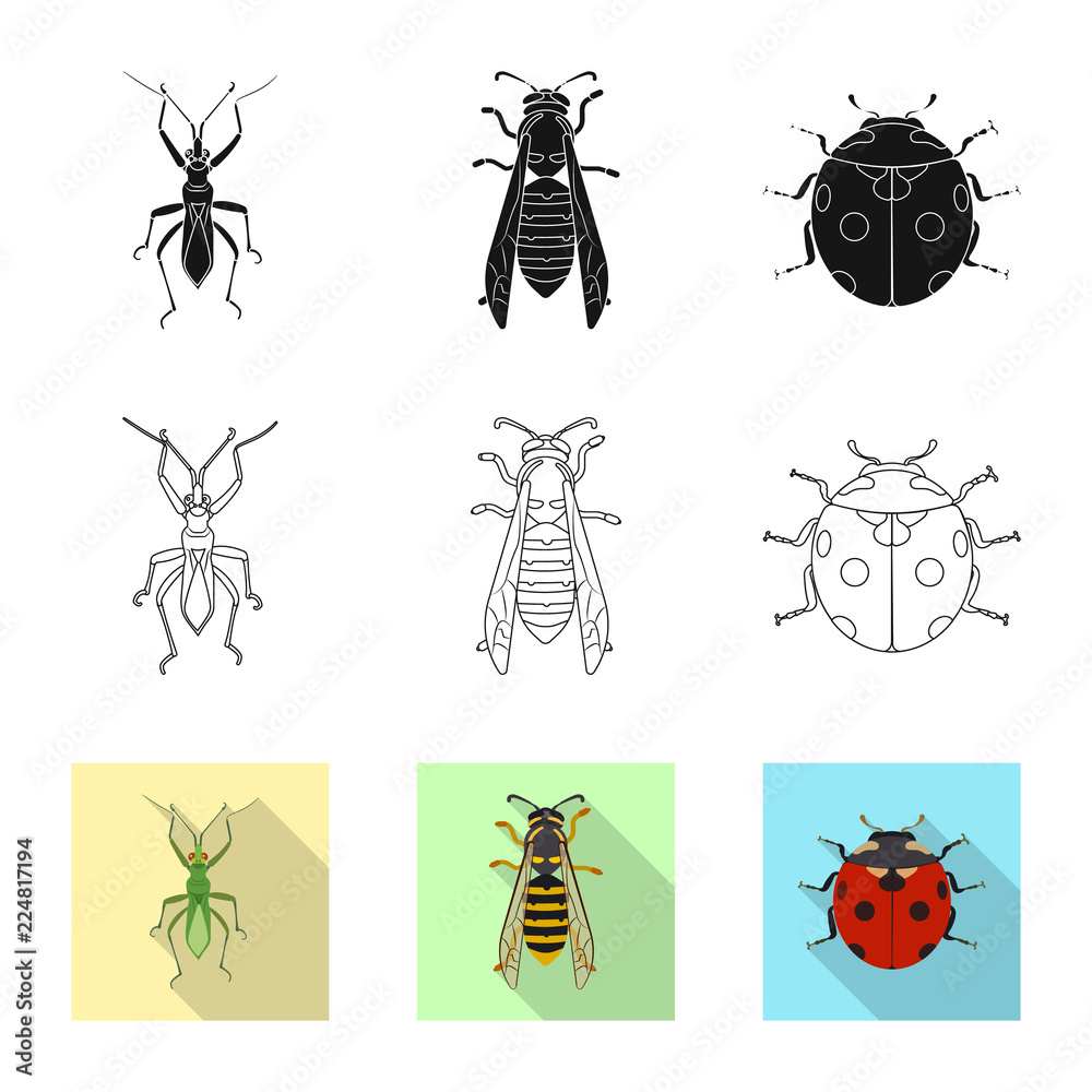 Vector design of insect and fly logo. Collection of insect and element stock vector illustration. Vector design of insect and fly logo. Collection of insect and element stock vector illustration.